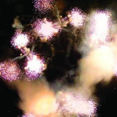 Р8452 Дерзкая роскошь Проф - пиротехника 